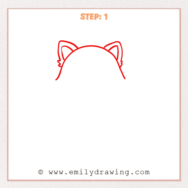 how to draw a red panda - Step 1
